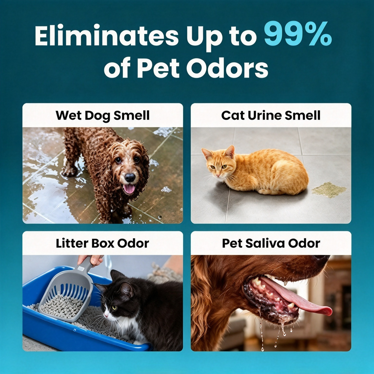 💥Last day 50% off丨REBYIPO® UV-C molecular-level pet odor eliminator eliminates odors at the source—no sprays or filter cartridges required