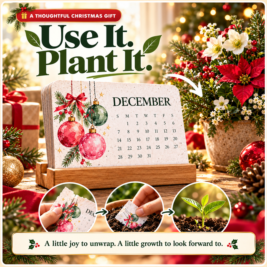 2027 plantable calendar gift set with a wooden stand and illustrated planting steps